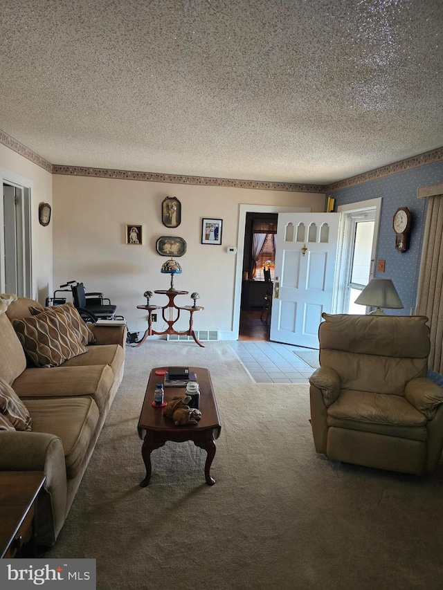 living room with carpet flooring and a textured ceiling