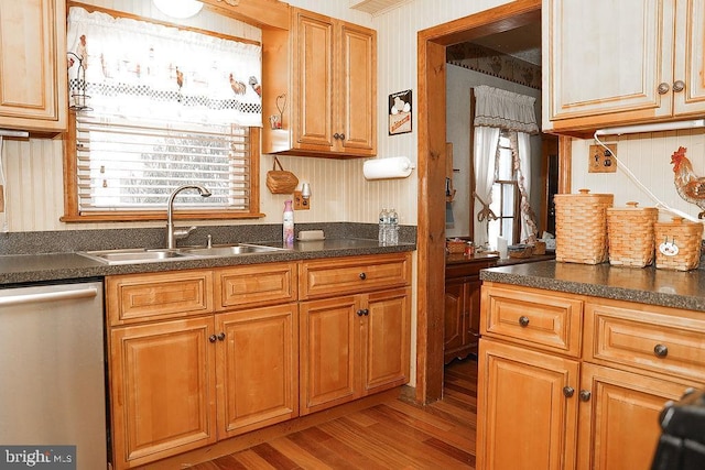 kitchen with stainless steel dishwasher, sink, and light hardwood / wood-style floors