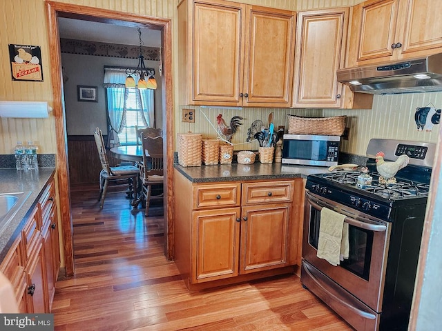 kitchen with pendant lighting, a notable chandelier, light hardwood / wood-style flooring, and appliances with stainless steel finishes