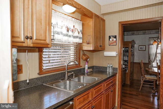 kitchen with sink and dark wood-type flooring