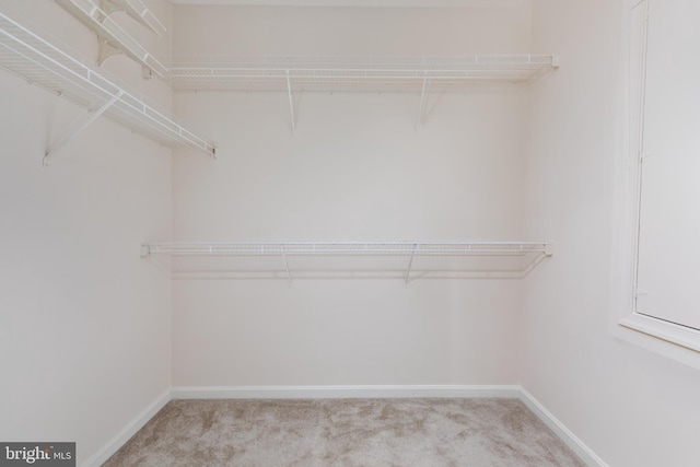 walk in closet with light colored carpet