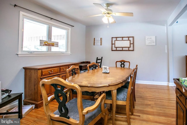 dining room with ceiling fan and light hardwood / wood-style flooring