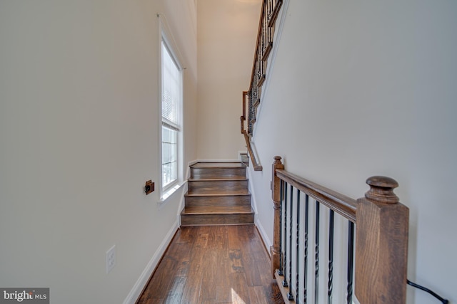 stairs featuring hardwood / wood-style flooring