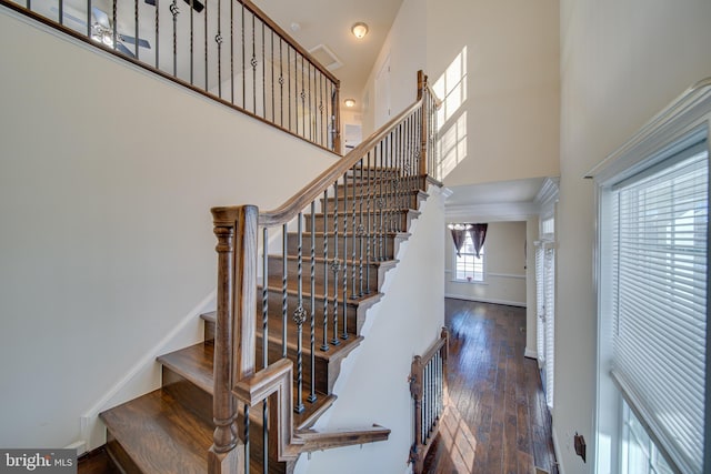 staircase with hardwood / wood-style flooring and a high ceiling