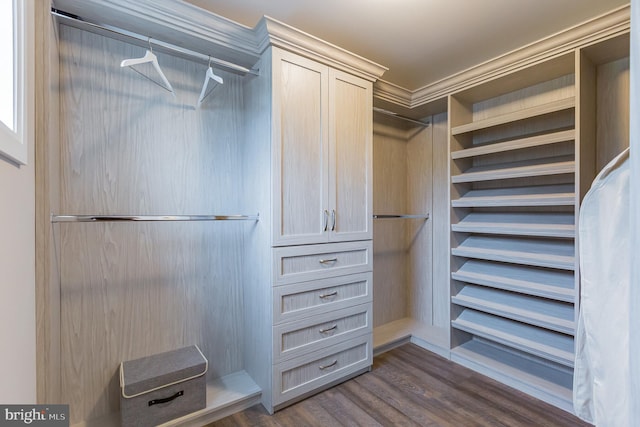 walk in closet featuring dark wood-type flooring