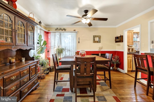 dining room with dark hardwood / wood-style floors, ceiling fan, and crown molding