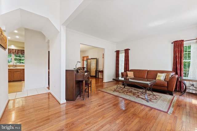 living room with light wood-type flooring, sink, and ornamental molding