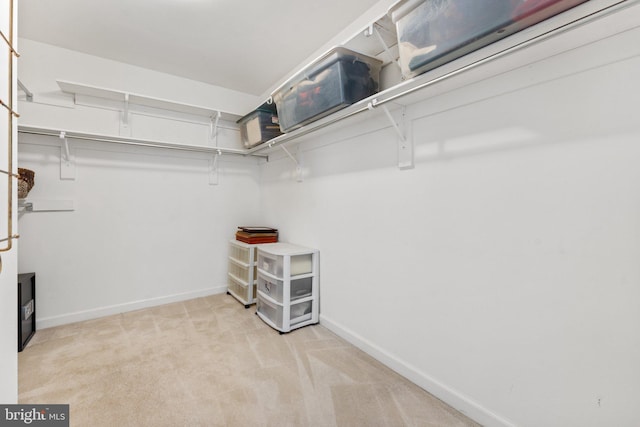 spacious closet with light carpet