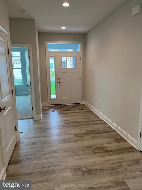 entryway with light hardwood / wood-style floors and a wealth of natural light