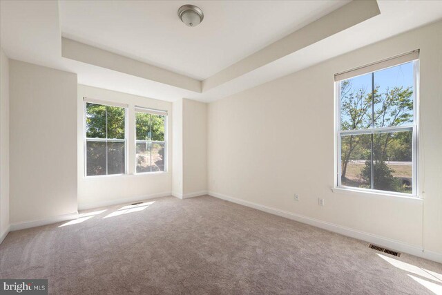 spare room featuring carpet floors and a raised ceiling