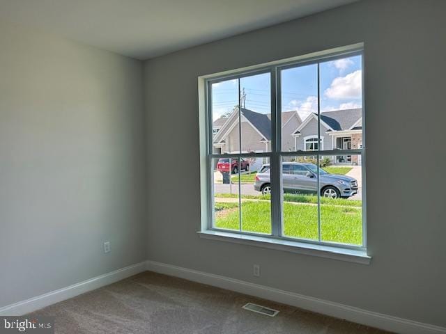 carpeted spare room featuring a wealth of natural light