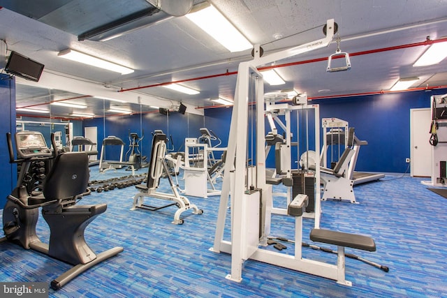 exercise room featuring carpet floors