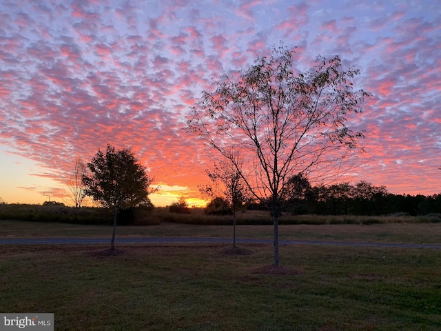 view of yard at dusk