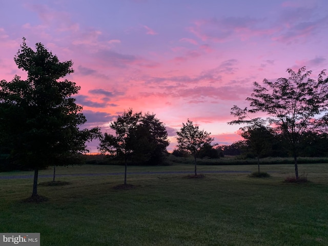 view of yard at dusk