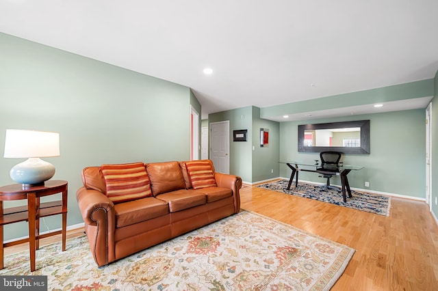 living room featuring wood-type flooring