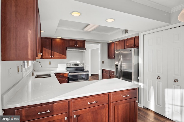 kitchen with sink, kitchen peninsula, crown molding, and appliances with stainless steel finishes