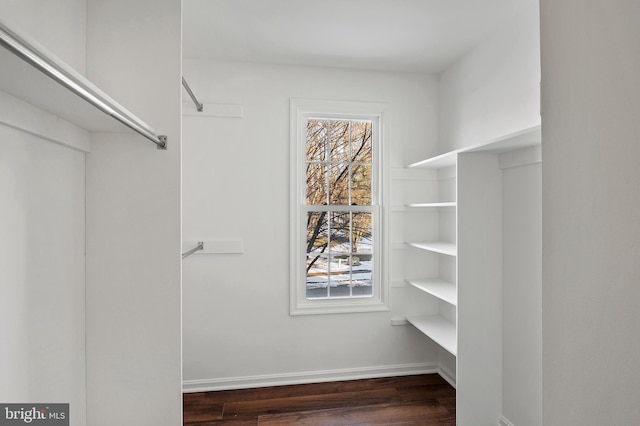 walk in closet featuring dark hardwood / wood-style floors