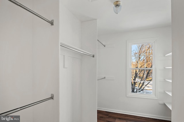 walk in closet with dark hardwood / wood-style flooring