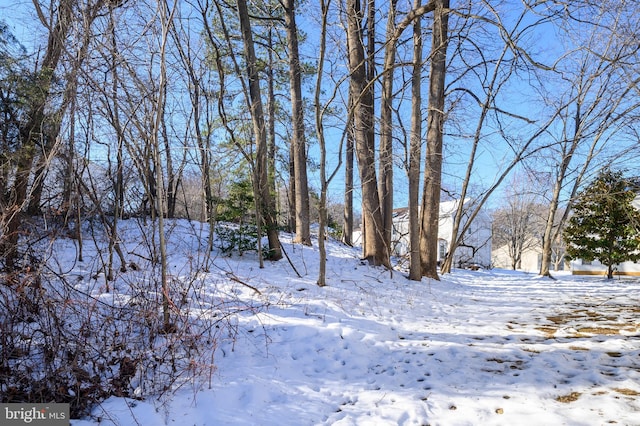 view of snowy yard