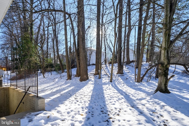 view of yard covered in snow