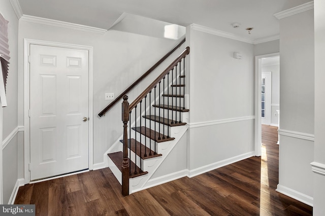 stairs featuring hardwood / wood-style floors and crown molding