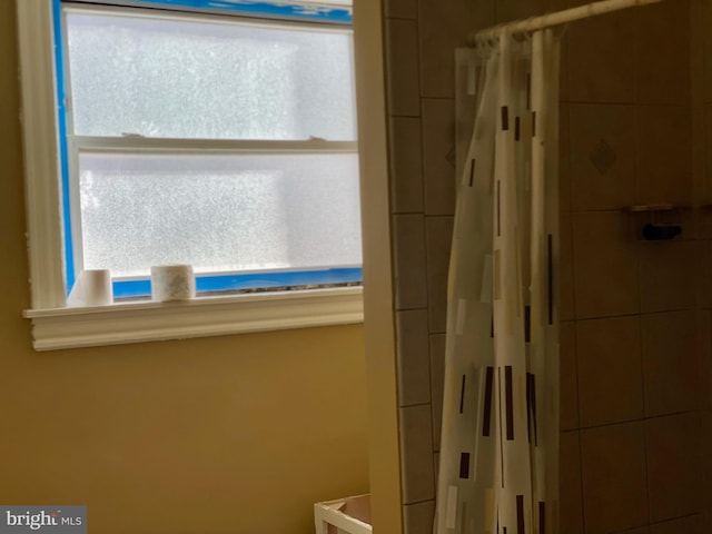 bathroom featuring curtained shower