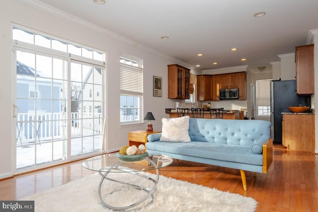 living room featuring crown molding and light hardwood / wood-style floors