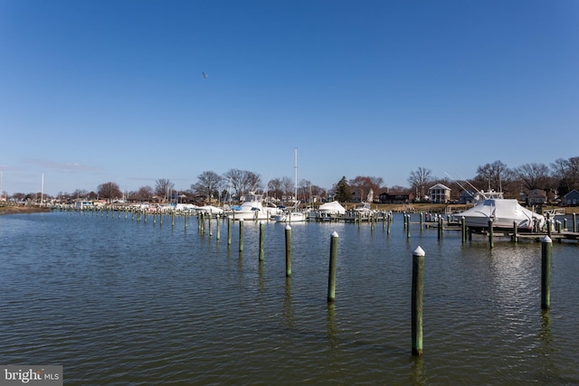 view of water feature with a dock