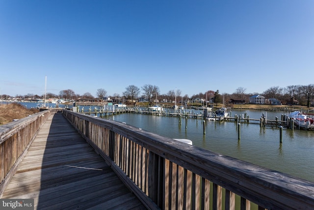 dock area with a water view