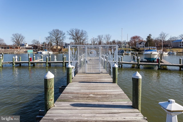 dock area with a water view