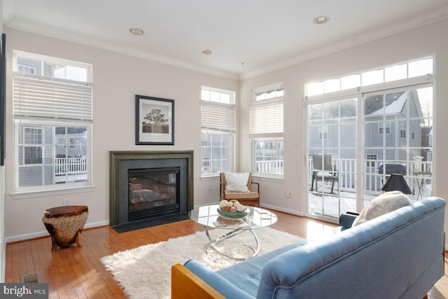 living room featuring crown molding and light hardwood / wood-style floors