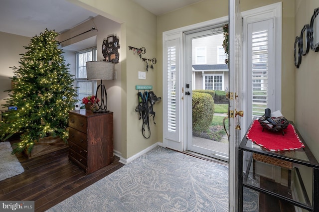 foyer featuring hardwood / wood-style flooring and a wealth of natural light