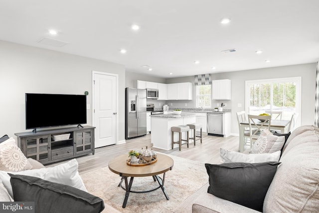 living room featuring light hardwood / wood-style flooring and sink