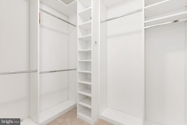 spacious closet featuring light colored carpet