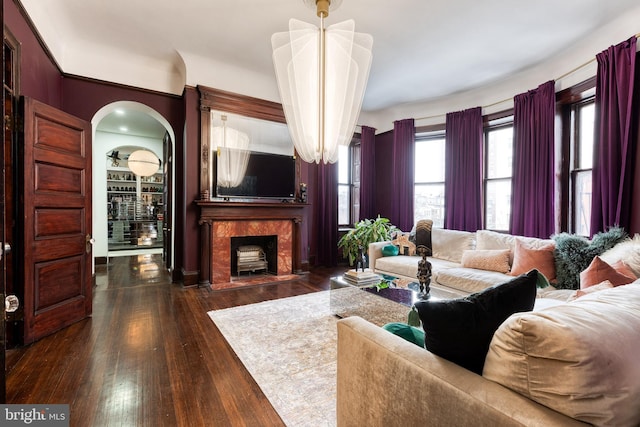 living room featuring a wealth of natural light, a fireplace, and dark hardwood / wood-style flooring