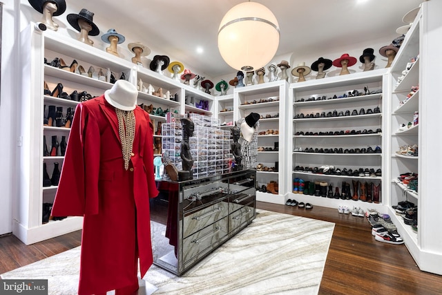 walk in closet featuring dark wood-type flooring