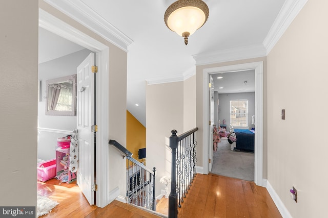 corridor featuring hardwood / wood-style flooring and ornamental molding