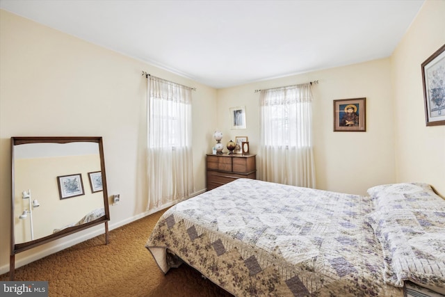 carpeted bedroom with multiple windows