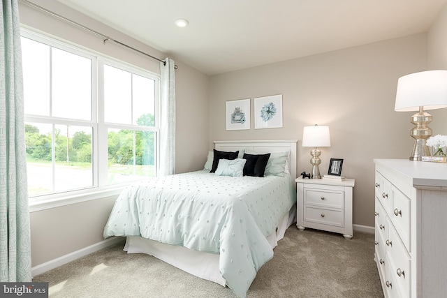 carpeted bedroom with multiple windows