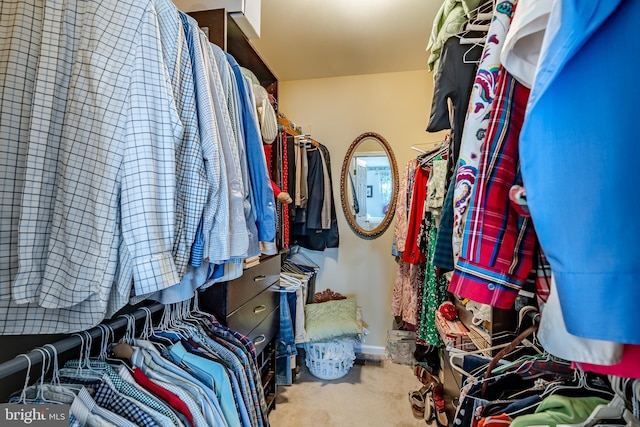 walk in closet with light colored carpet