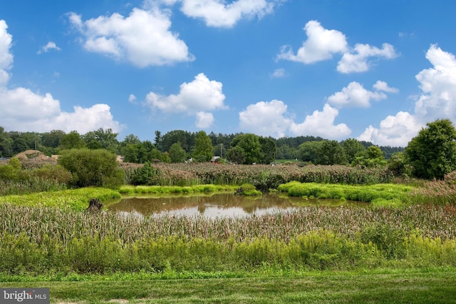 view of nature featuring a water view