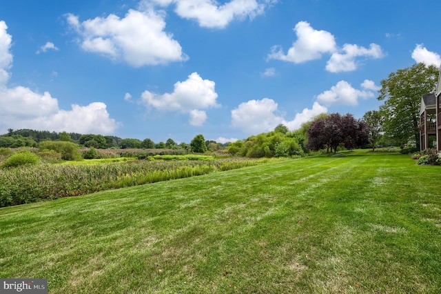 view of yard featuring a rural view