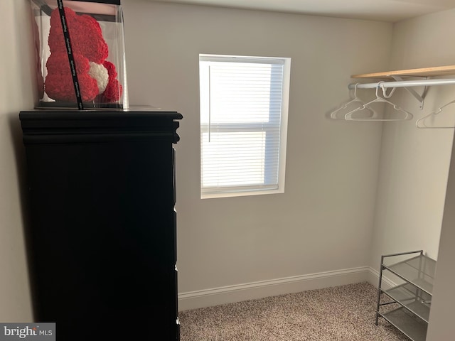 walk in closet with carpet floors