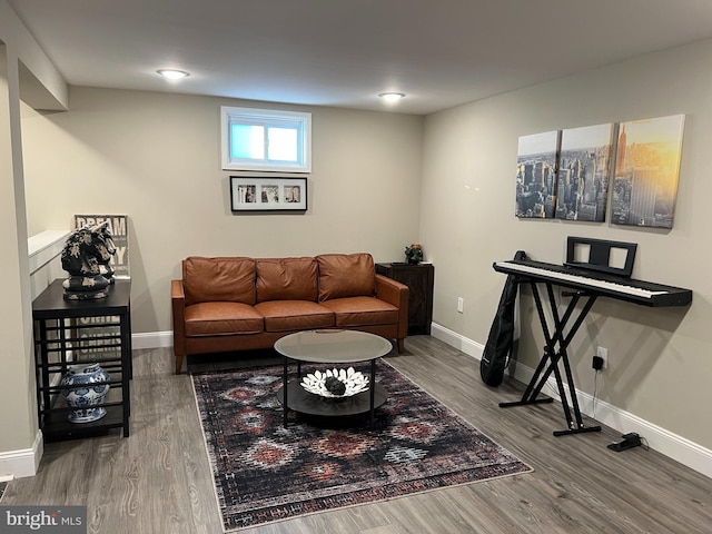 living room featuring hardwood / wood-style flooring