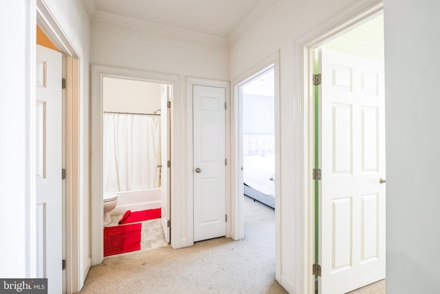 hall featuring light colored carpet and crown molding