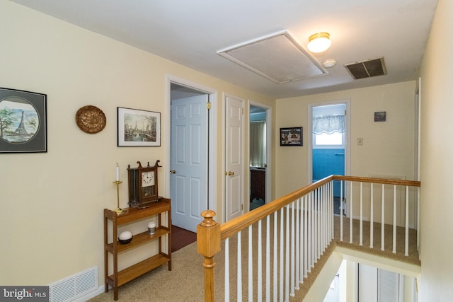 corridor featuring carpet floors