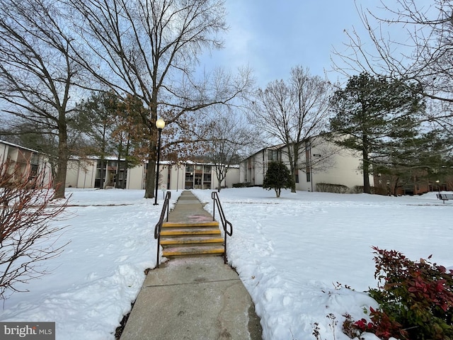 view of snowy yard