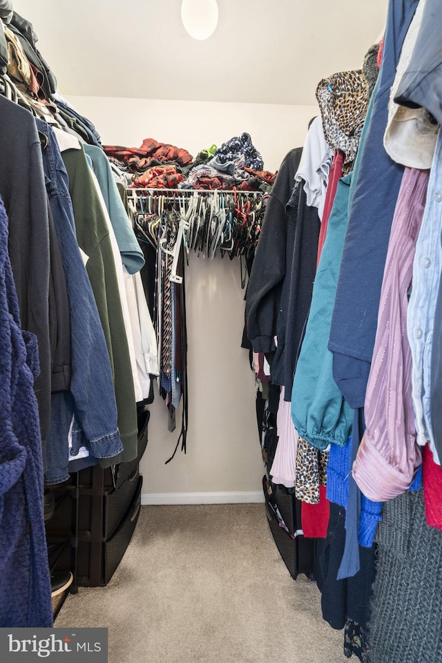 spacious closet with carpet flooring