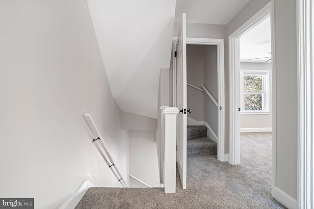 staircase featuring carpet and lofted ceiling