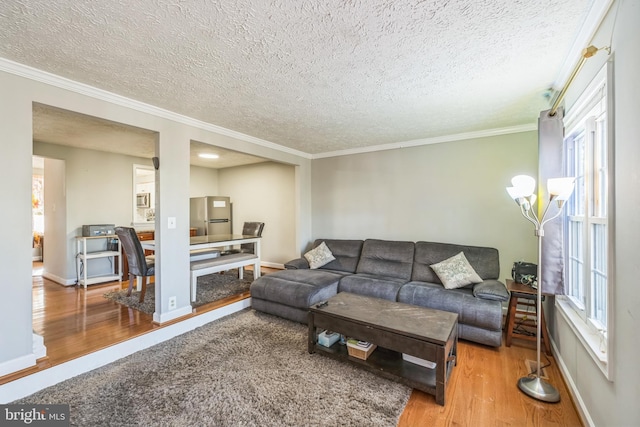 living room with crown molding, hardwood / wood-style floors, and a textured ceiling